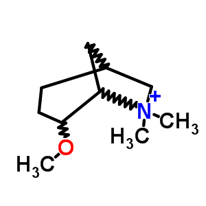 2--7,7-׻-7-sph(hun)[3.2.1]Y(ji)(gu)ʽ_53102-85-5Y(ji)(gu)ʽ