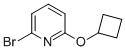 2--6-(h(hun))ऽYʽ_891842-80-1Yʽ
