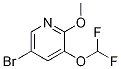 5--3-()-2-ऽY(ji)(gu)ʽ_1241752-50-0Y(ji)(gu)ʽ
