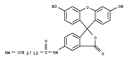 5-(ʮ)ɹؽYʽ_75796-37-1Yʽ