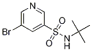 5--N-嶡-3-Yʽ_911111-80-3Yʽ