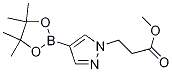 4-(4,4,5,5-ļ׻-1,3,2-f-2-)-1H--1-Yʽ_1093307-33-5Yʽ
