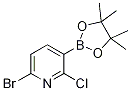 6--2--3-(4,4,5,5-ļ׻-1,3,2-f-2-)ऽY(ji)(gu)ʽ_1247726-85-7Y(ji)(gu)ʽ