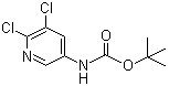 5,6--3-嶡Yʽ_275383-96-5Yʽ