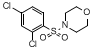 4-(2,4-ȱ)Yʽ_74832-72-7Yʽ