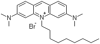 ߹ळ 10-Y(ji)(gu)ʽ_75168-11-5Y(ji)(gu)ʽ
