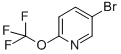 5--2-ऽY(ji)(gu)ʽ_886371-77-3Y(ji)(gu)ʽ