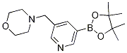 4-[[5-(4,4,5,5-ļ׻-1,3,2-f-2-)-3-]׻]-Y(ji)(gu)ʽ_919347-16-3Y(ji)(gu)ʽ