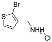 (2--3-Ի)װY(ji)(gu)ʽ_157664-47-6Y(ji)(gu)ʽ