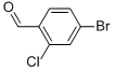 2--4-屽ȩYʽ_158435-41-7Yʽ
