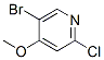 5--2-4-ऽY(ji)(gu)ʽ_880870-13-3Y(ji)(gu)ʽ